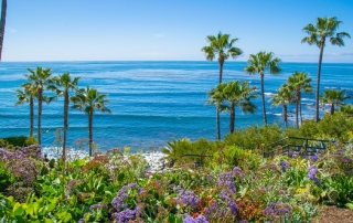 Is Laguna Beach a Good Vacation Destination for Winter